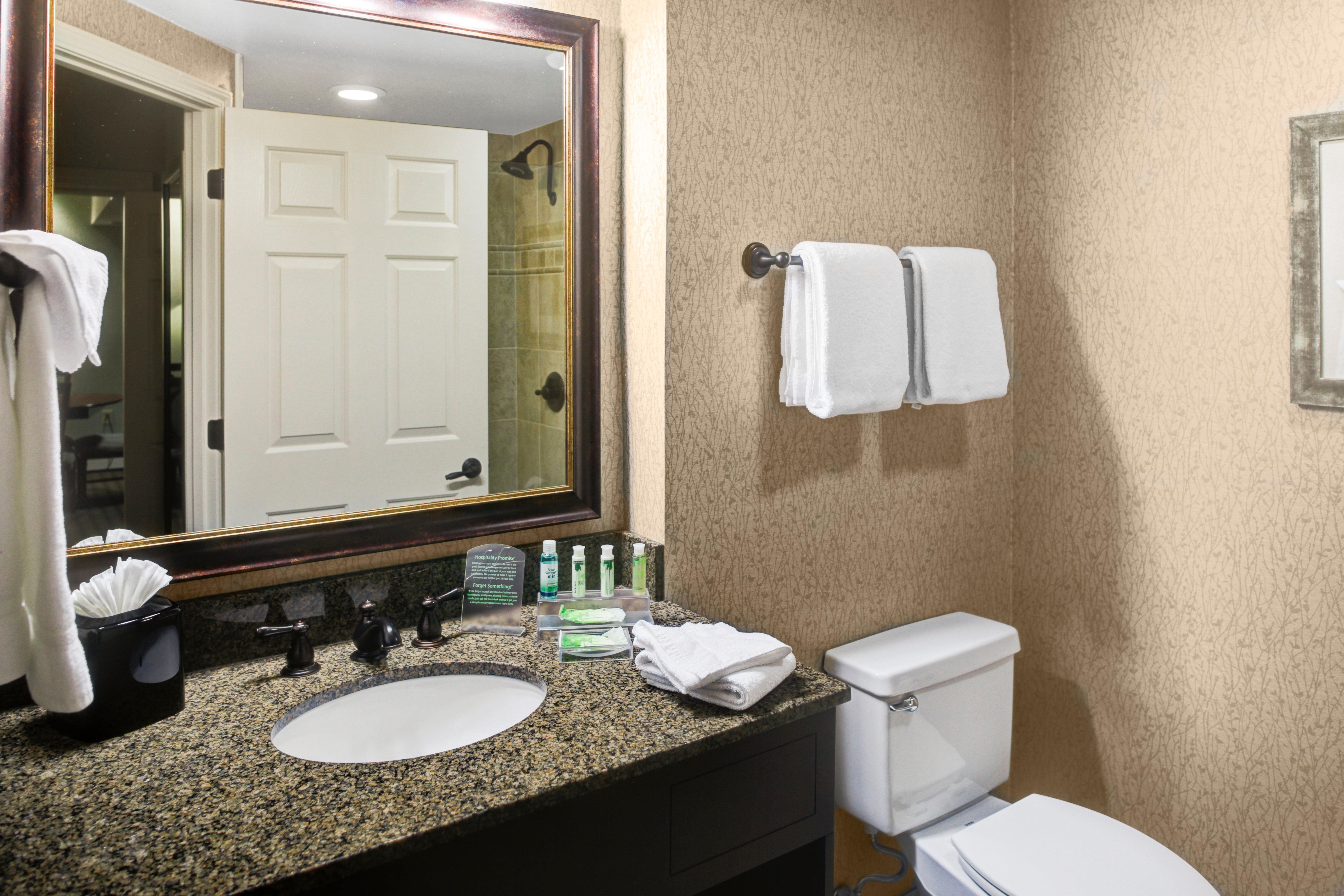 Holiday Inn Express Hotel & Suites Atlanta Buckhead By Ihg Экстерьер фото